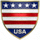 美国国家足球队队徽 - 盾牌与星条旗元素